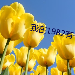 我在1982有个家 （jie面吊丧）