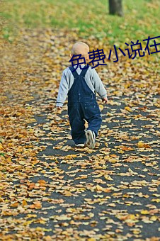 免费(費)小说在(在)线看