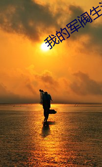 我(wǒ)的军(jūn)阀生(shēng)涯