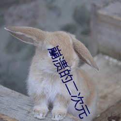 918博天堂·(中国)手机版客户端