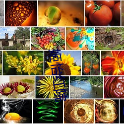 姬怡紅院