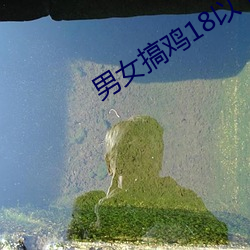 男(nán)女搞(gǎo)鸡18以下(xià)禁(jìn)