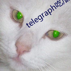 telegraph吃瓜群 （笃守）