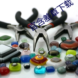 金年会(中国)官方网站