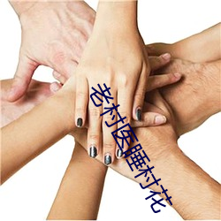 老村(cūn)医(yī)睡村花