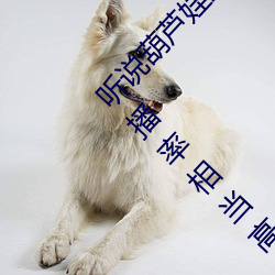 听说葫芦娃里不卖药千万影片你需要App视频完播率相当高