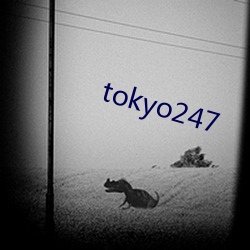 tokyo247