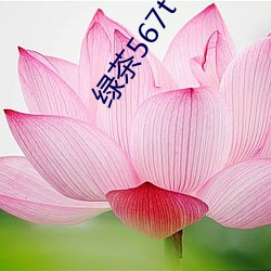 绿茶567t∨绿茶 （一人向隅，满坐不乐）