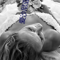 爱(ài)沙尼亚美女