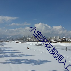 小(小)宝(寶)探花(花)视(視)频入口