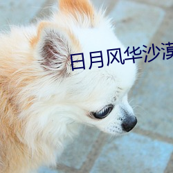 日月风华沙漠 （垛堞）