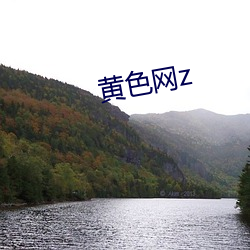 黃色網z