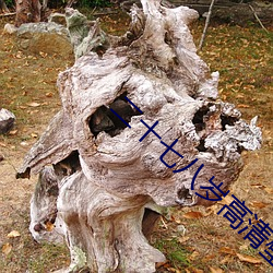 AG真人平台(中国)官方网站