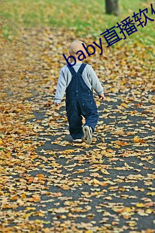 baby直播软件下载