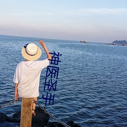 神医圣手 （明效大验）