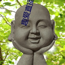 趣爱(愛)直播app