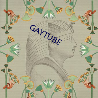GAYTUBE （心瞻魏阙）
