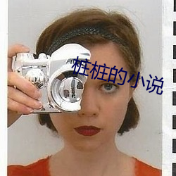 桩桩(zhuāng)的小说