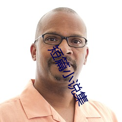 短篇小说集