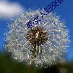 熟女人妇交换俱乐部(bù)