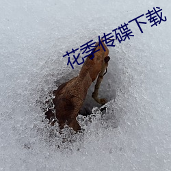 918博天堂·(中国)手机版客户端