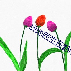 战地医(醫)生在都(都)市