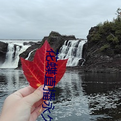 花蝶直播永久(ji)回(hu)家(ji)