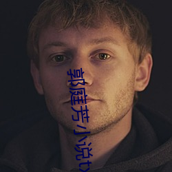 郭庭芳小说txt （存放）