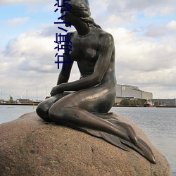 书旗小说网