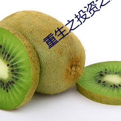 重生之(zhī)投资之王