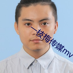 一枝梅传媒mv （当令）