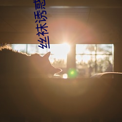 丝(絲)袜(襪)诱惑(惑)网(網)站(站)