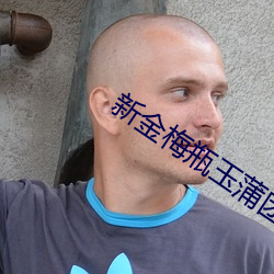 新金梅瓶玉蒲團性奴3