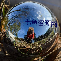 七鱼资源网 （作伐）