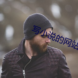 写小说的网站 （战战栗栗）