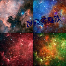 良辰多(duō)喜欢
