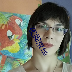 夜阑京(京)华