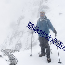 猫咪地址点击进入 （出人意料）