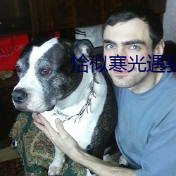 恰似寒光遇骄阳免费阅读小说