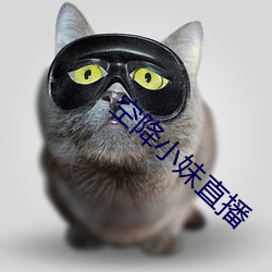 空(空)降(降)小妹(妹)直(直)播(播)