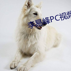 918博天堂·(中国)手机版客户端