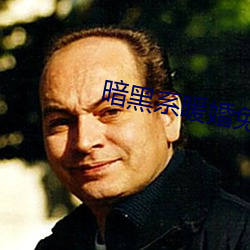 暗黑系暖婚免费阅读 （昼伏夜动）