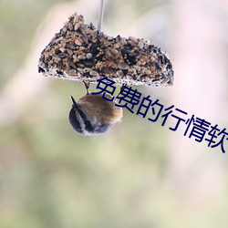 免費的行情軟件網站