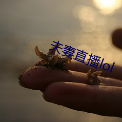 ca88手机客户端(安卓/苹果)CA88会员登录入口