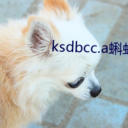 ksdbcc.a蝌蚪吧dom