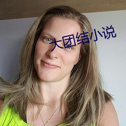 大團結小說