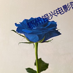 BG大游(中国)唯一官方网站
