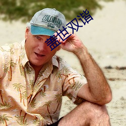 盖世双谐