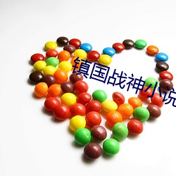 镇国战神小说