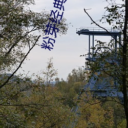 粉芽经(經)典视频